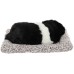 VOILA Sleeping Cute Dog for Car Dashboard and Home Decor with Activated Carbon for Decoration Toy Decorative Showpiece